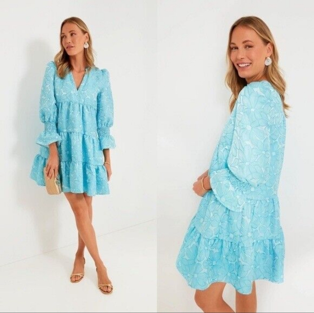 🏷️Tuckernuck Pomander Place Blue Daisy Jacquard Kenzo Tiered Dress XXXL - Picture 3 of 12